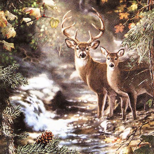 Paper Napkins 33cm, Deer by Creek *ETA Nov